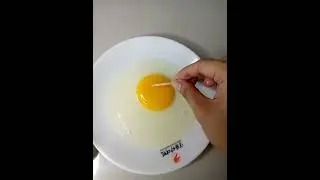 Identification of Egg Parts