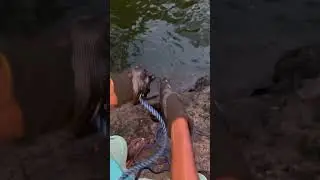 I Tried Magnet Fishing with a 400 POUND Magnet#magnetism #ma gnet #viralvideo #fishing