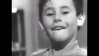 Aggressive Child  1960s psychiatric case study