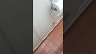 Nowhere Is Safe From Spiders in Australia || ViralHog