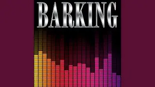 Barking (Instrumental)