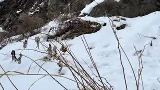 Winter Adventures. Пешком в горах Казахстана. Kazakhstan. Nature. Mountains.Бутаковка.31 января 2021