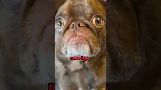 Душевые мысли, которые изменят историю 🤯