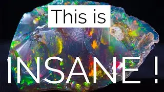 World's Rarest Opal! 568 carats