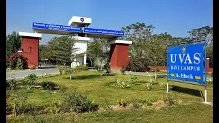 Institute of Continuing Education & Extension ,UVAS(D) block pattoki