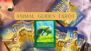 Animal Guides Tarot