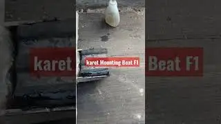 Pasang Karet Mounting Beat F1