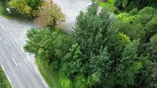 Liscahane Garden Centre and Nursery, Tralee, Kerry