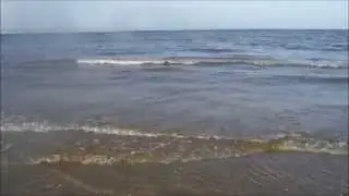 Surf stick catches more fish