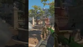 aggressive play on balloons !