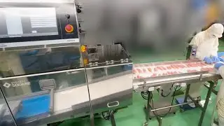 Dual energy X-ray inspection system│Inspection of chicken breast fillet│SYSTEM SQUARE INC.