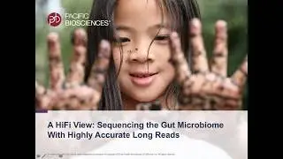 A HiFi View: Sequencing the Gut Microbiome with Highly Accurate Long Reads