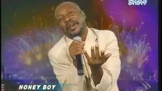HONNEY BOY - THIS LOVE