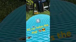 RC car helps the dog! #4kshortfilm #adventure #rccar