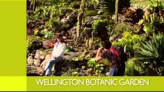 Wellington Botanic Garden