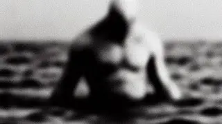 Cryptic File No. 002: The Ningen &ndash; Antarctica&rsquo;s Humanoid Mystery