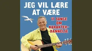 Sikke Et Held (Livsmod)