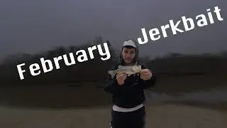 February Jerkbait Fishing