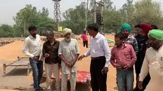 Capt Amarinder pulls up FCI officials for not buying wheat from farmers