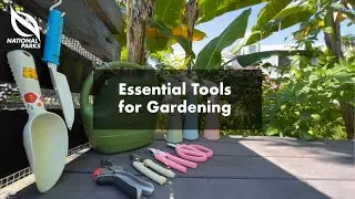 Essential Tools For Gardening