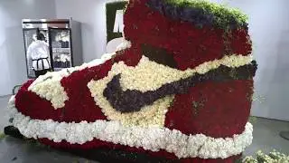 ComplexCon Day 1 - RECAP