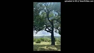 free for nonprofit ss3bby 444jet xaviersobased type beat prod deporablev nopeoutnow