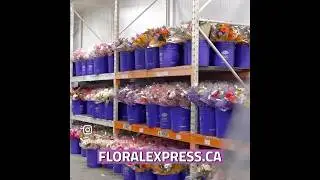 Wholesale Flowers Delivered Same Day | Floral Express Canada
