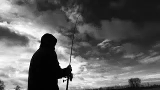 Frequenzangeln auf Zander mit&lsquo;n RealRoach am Fluss