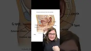 The ASpot and the PSpot - Female Pleasure Zones