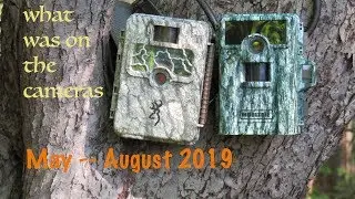 Trail cam retrieval