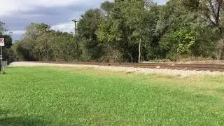 NS 905 w/ the Birck!
