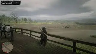 yeehaw where back on normal schedule #rdo #rdr2 #savereddeadonline