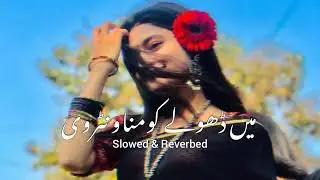 Dholy Koun Manawar De | Ahmad Nawaz Cheena   Best Saraiki Song | Slowed Reverb
