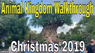 [HD] Animal Kingdom park Walkthrough 2019: Christmas time @ Walt Disney World | Walking Tour