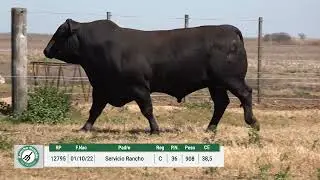 RANCHO GRANDE   Rte 2025  RP 12795