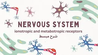 Ionotropic and Metabotropic receptors | شرح لمتسقبلات الخلايا العصبيه