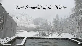 Fish farming under the first snowfall of the year | A special day in the village❄️🏔️🐟