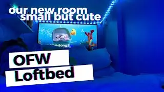 Loftbed Room in Dubai | Our New Small & Cute Room