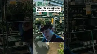 Clearance Plant shopping is the best way to fill your home and garden #gardendesign #planthaul