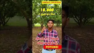 10,800 Sq.Ft -ல் அழகிய Cheap Farm land for sale near Chennai -Potheri