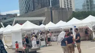Toronto Outdoor Art Fair #toronto  #canada #artist #artwork #youtubeshorts 