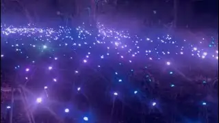 Light Cycles - Crystal Grove #santiagodechile #lightcycles #metrodesantiago #parquemet #naturesounds