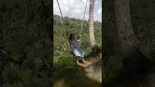 Bali private driver cost