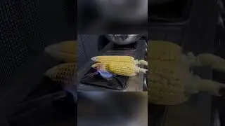 roasted corn recipe | bhutta masala recipe | roasted masala corn |  #streetfood #shorts
