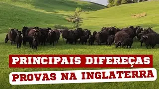 PROVAS DE PASTOREIO NA INGLATERRA | EPISÓDIO 7 | DIÁRIO DO PASTOR 2ª TEMPORADA