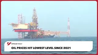 Цены на нефть достигли самого низкого уровня с 2021 года | Vietnam Today