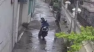 No one expected it! Stealing dogs in broad daylight like an action movie&rdquo;