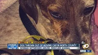 Dog thrown out of moving car in North County