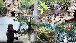 Nakakatakot na ahas pumasok sa trap/ binalikan ulit Namin ang spot kung saan kami nakahuli Ng marami