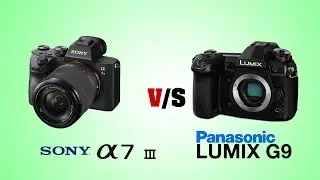 SONY Alpha A7 III vs Panasonic LUMIX G9